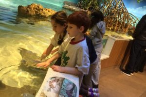 Chalav and D’Vash go to the New England Aquarium
