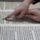 A Touch of Torah – Parshat B’ha’alotcha
