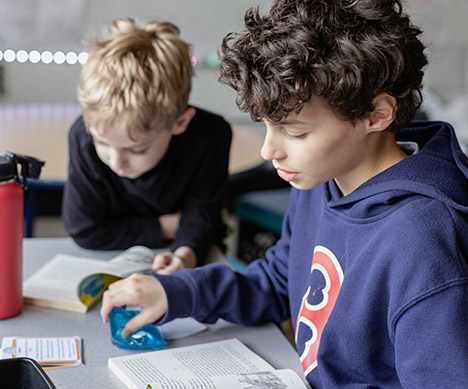 selected_Freshy16-img